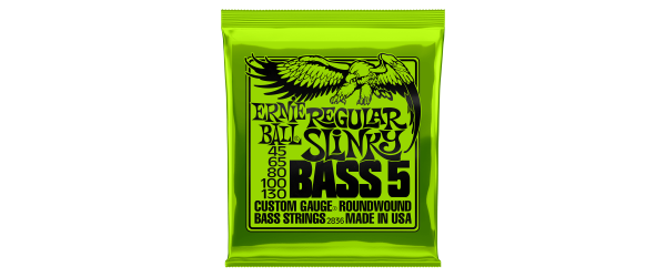 Ernie Ball 5-String Regular Slinky Bass 45-130